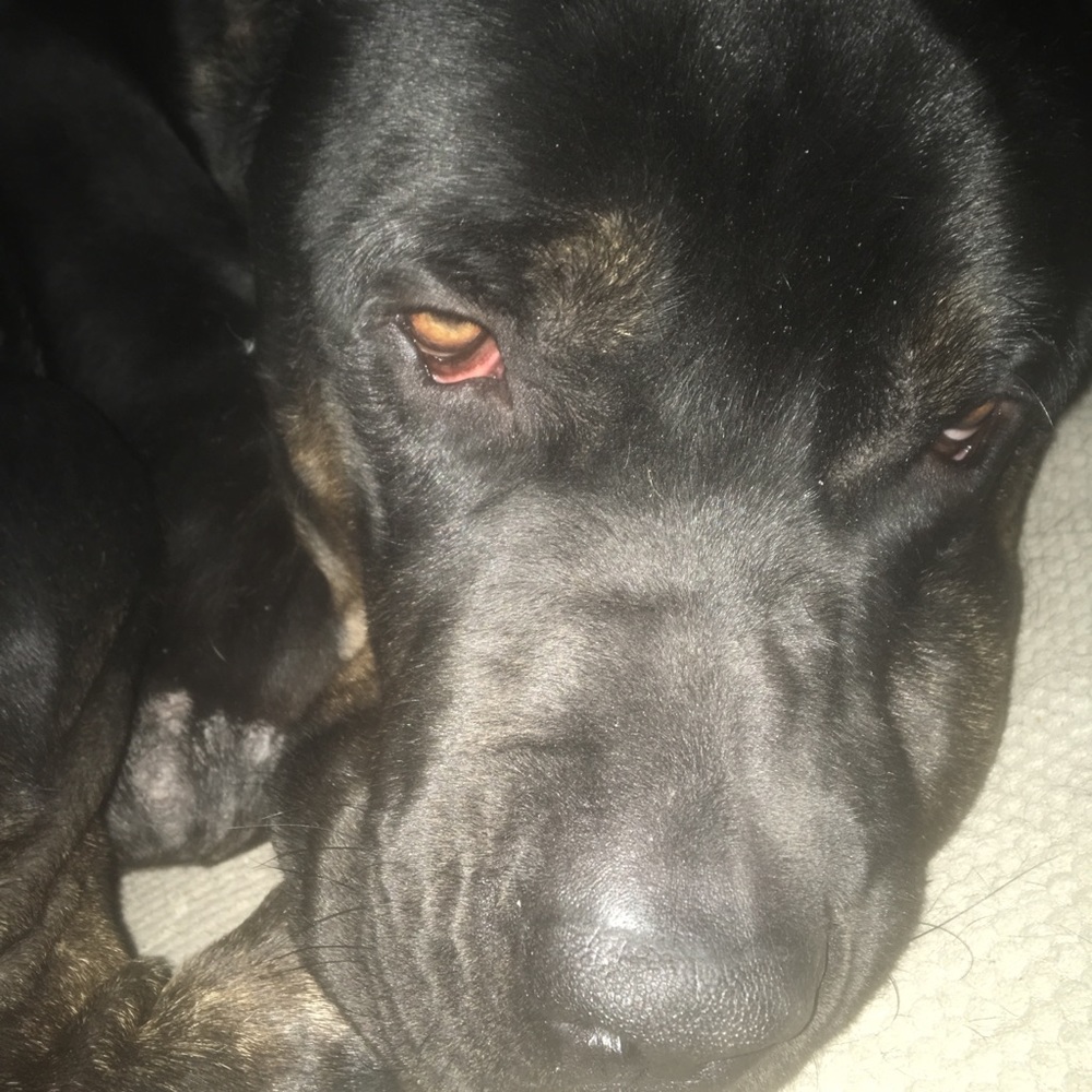 Meet your Posher, Malik